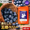 ブルーベリー サプリ （約6ヶ月分） 送料無料 アイケア デジタルケア サプリメント ビルベリー アントシアニン ポリフェノールカシス アイブライトエキス クコの実 配合 ルテイン と相性◎ クリアな毎日に