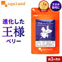 大容量 ブルーベリー サプリ (約3ヶ月分) 送料無料 サプリメント ビルベリー アントシアニン ポリフェノール カシス アイブライトエキス 配合 ルテイン と相性◎ デジタルケア PC スマホ 健康食品 オーガランド ビタミンC 送料無料