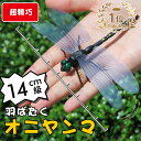 オニヤンマ 虫除け 14cm おにやんま フィギュア ゴルフ リアル トンボ 虫よけ 虫対策 安全ピン付き 釣り 山登り キャップ 屋外作業 虫よけ模型 昆虫 スズメバチ 害虫 ブローチ オニヤンマくん おにやんまくん