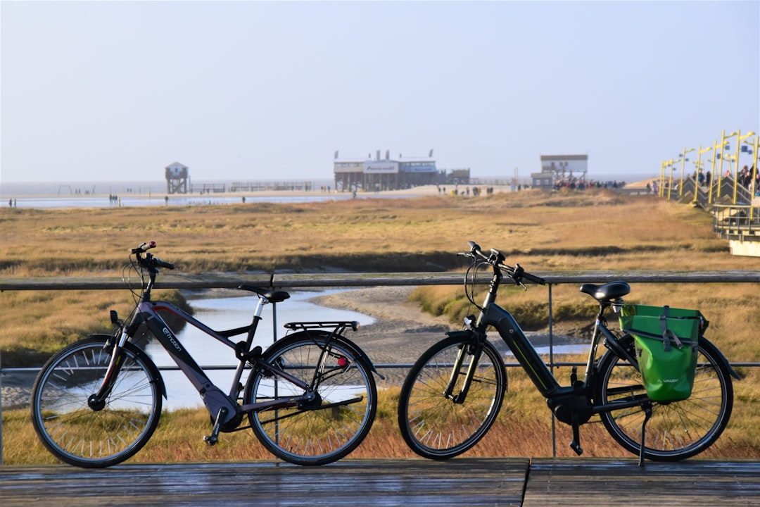 電動自転車 購入前 確認すること おすすめ