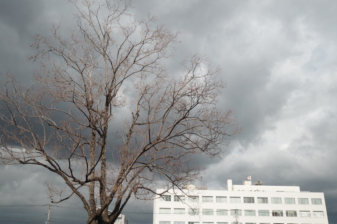 台風13号