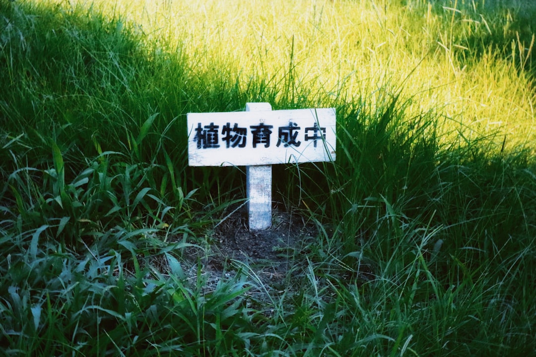 平木理化