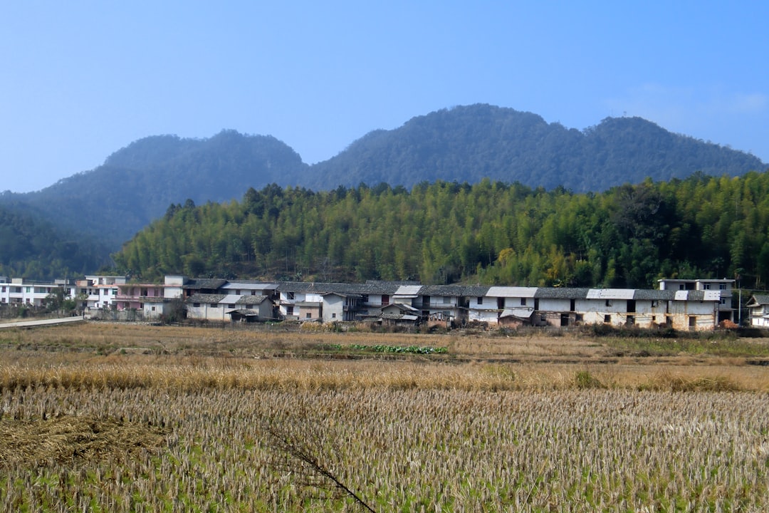 平木理化