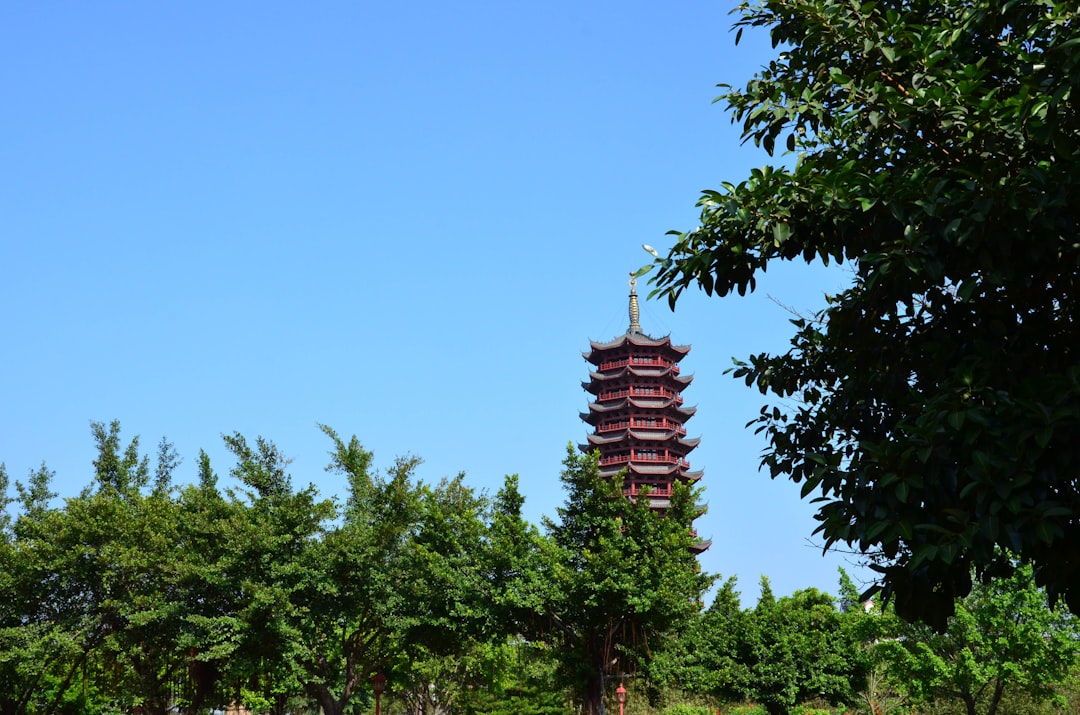 平木理化