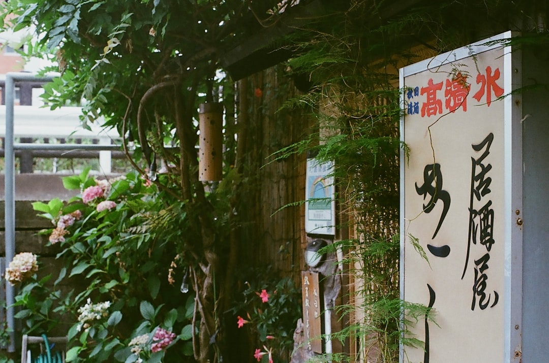 橋本愛
