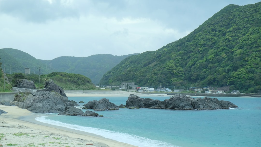 小園海斗