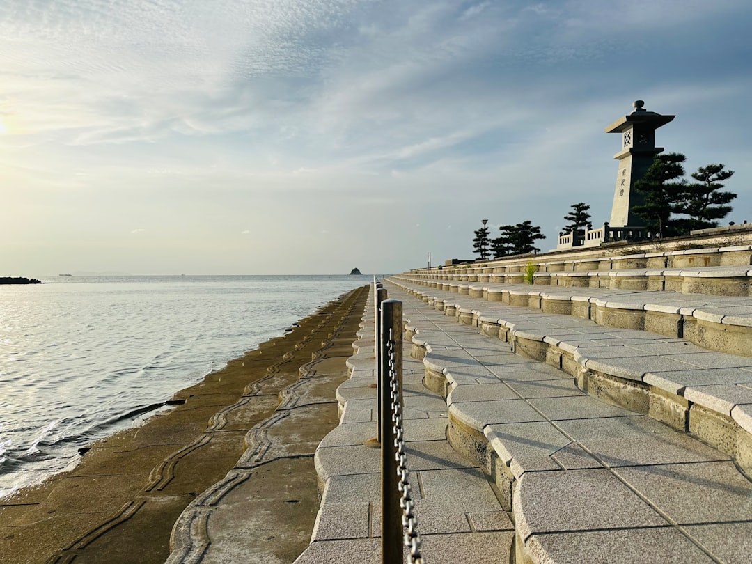 小園海斗
