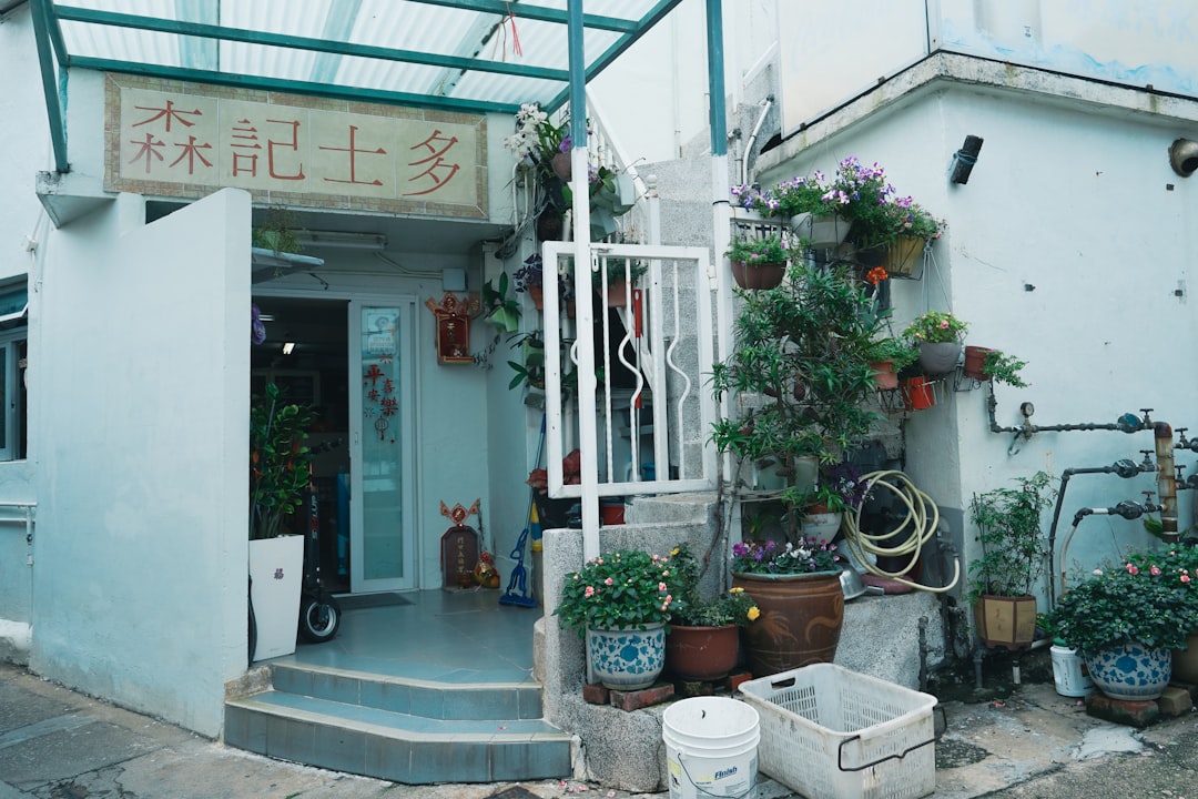小園海斗