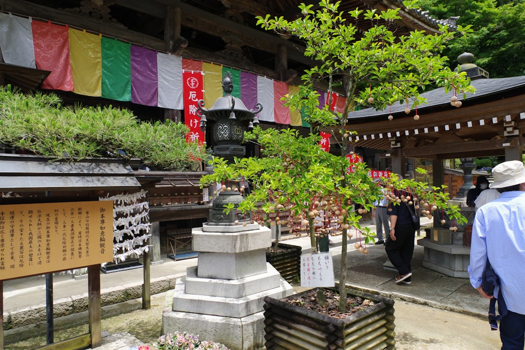 高山みなみ