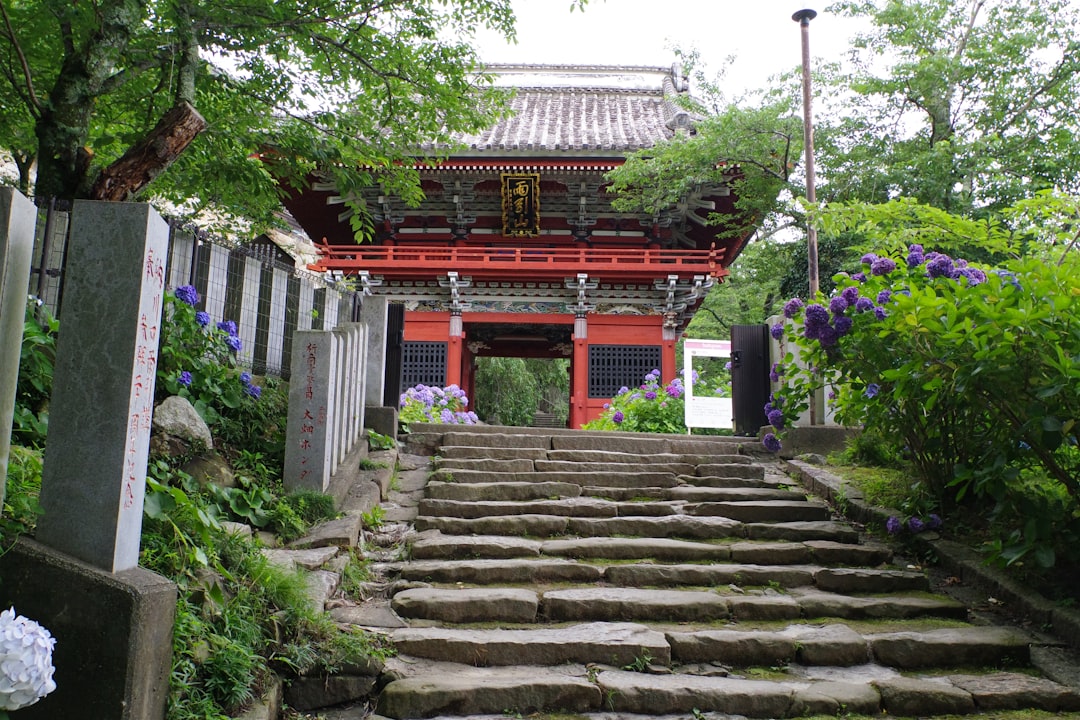 小野寺 太志