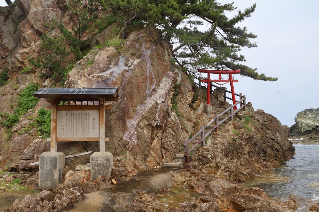 岡本公三