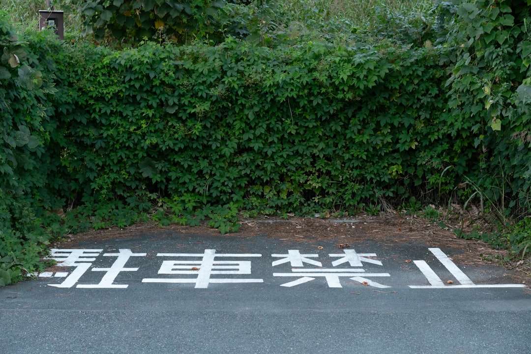 実写