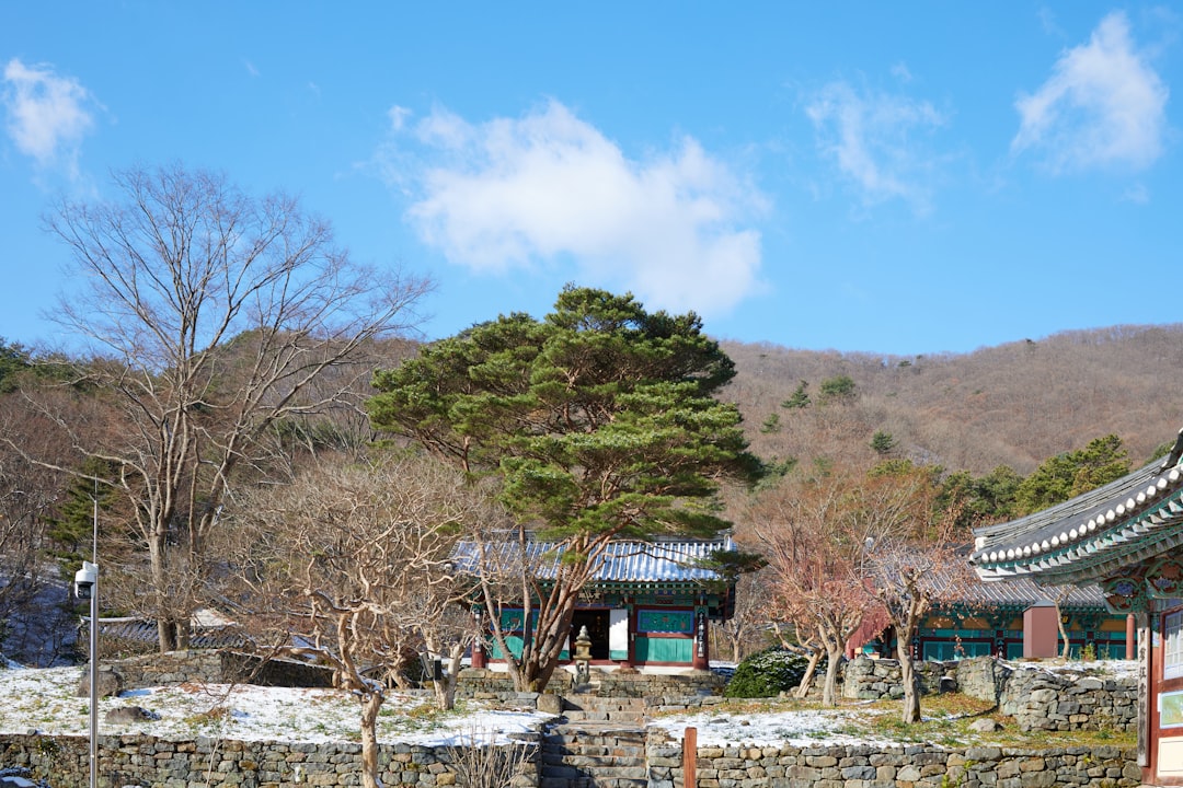 松下洸平