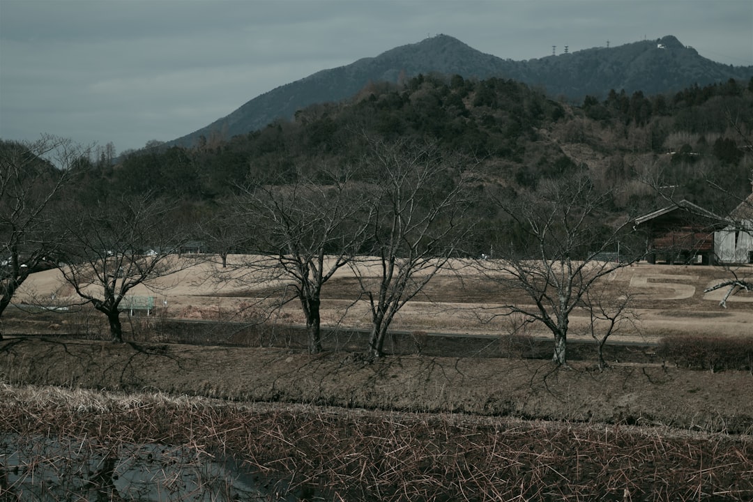 大河ドラマ