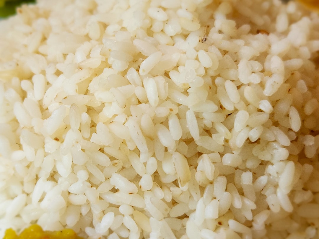 炊飯器 一人暮らし コスパ