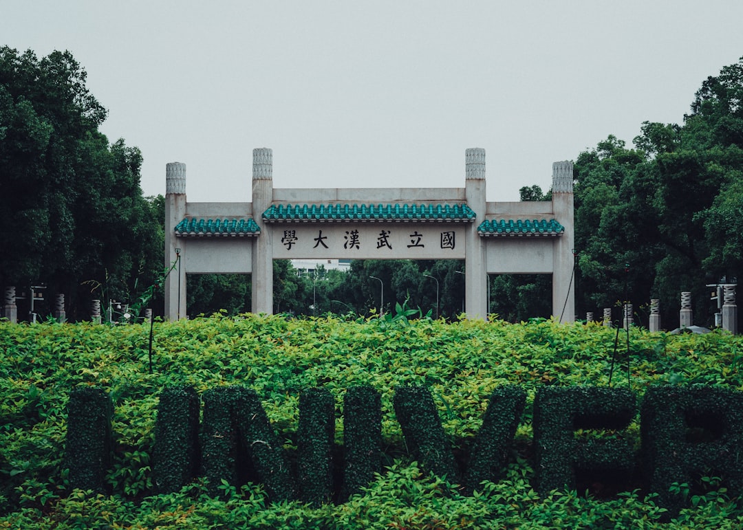 平木理化