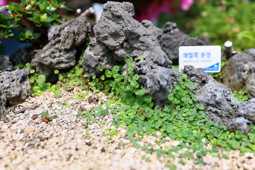 高市早苗