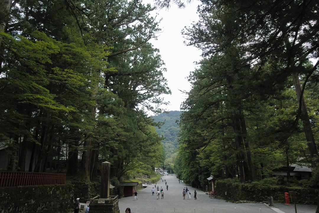 高市早苗