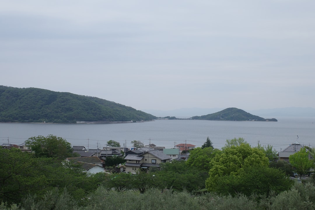 小園海斗