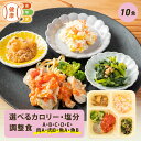 【期間限定P3倍】選べる カロリー・塩分調整食 10食セット 冷凍弁当 宅配弁当 宅配 弁当 お弁当 おかず おかずのみ 減塩 レンジ調理 時短 低カロリー 惣菜 カロリー 塩分 高血圧 高齢者 制限食 食事制限 糖質制限 時短調理 自宅療養 健康直球便 国内製造 簡単調理