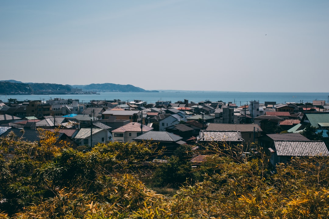 山下ひかり