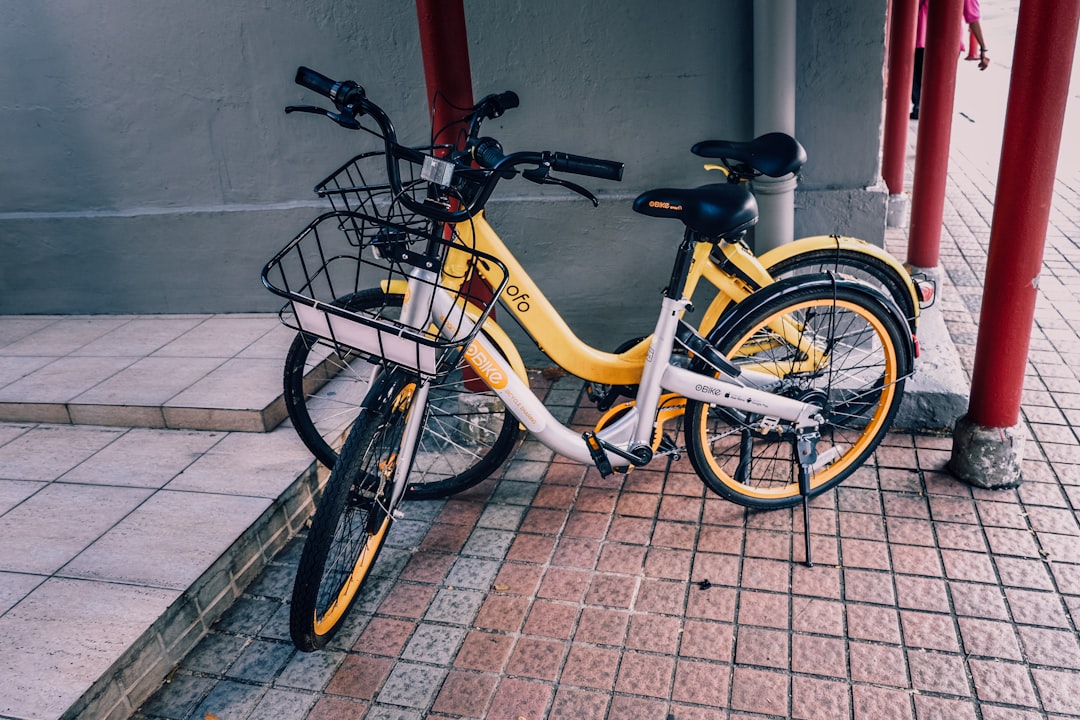 電動自転車 購入前 確認すること おすすめ