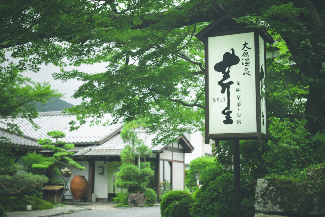 井上清華
