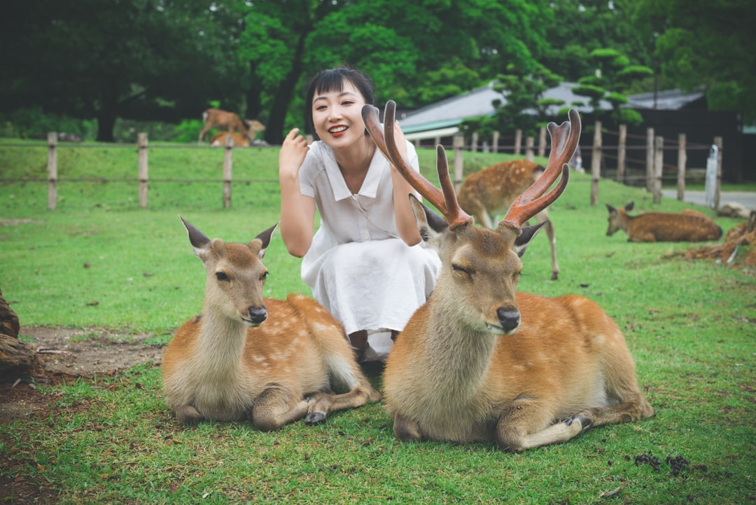 ヒマチの嬢王
