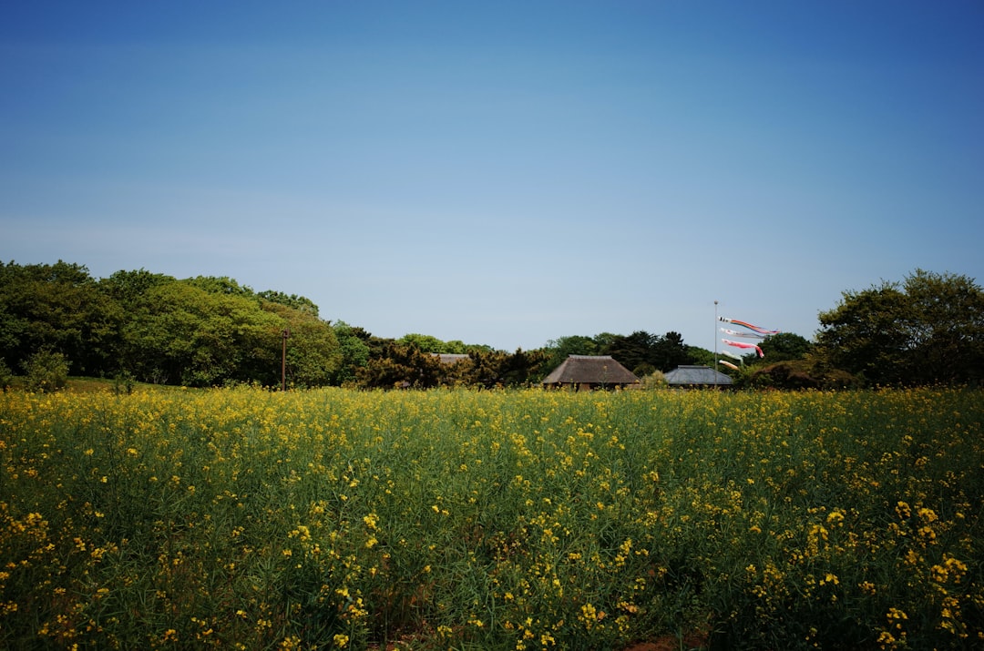 茨城 地震