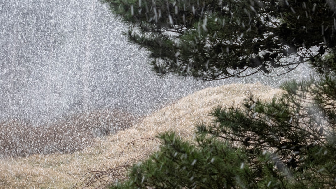 台風