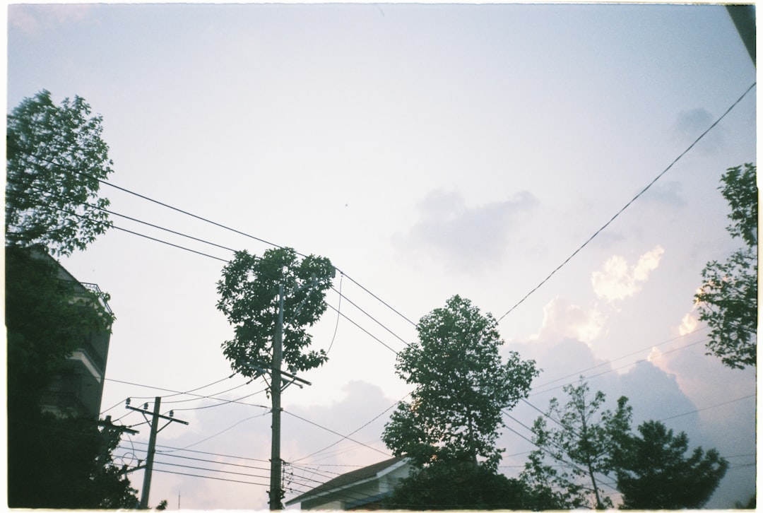 キテレツ