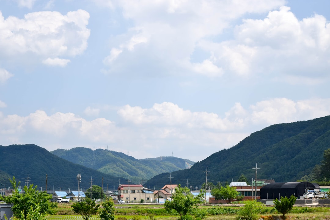 東日本国際大昌平