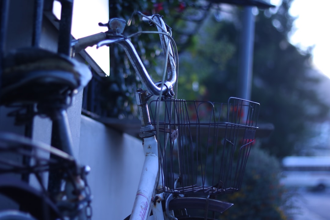 電動自転車 購入前 確認すること おすすめ