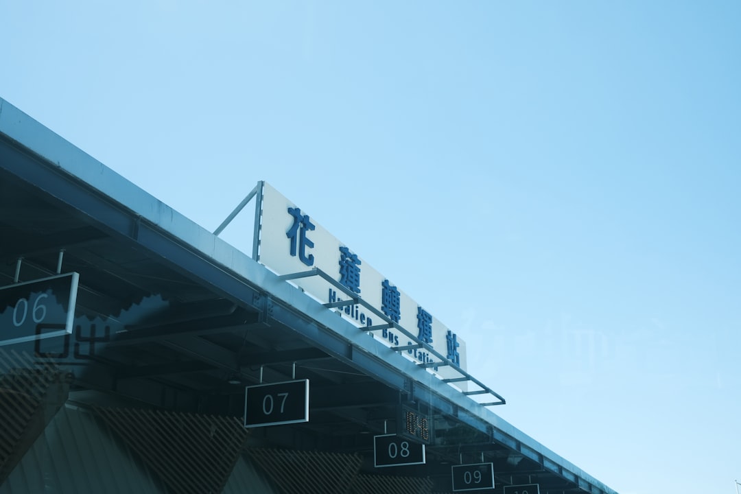 高校 野球 決勝