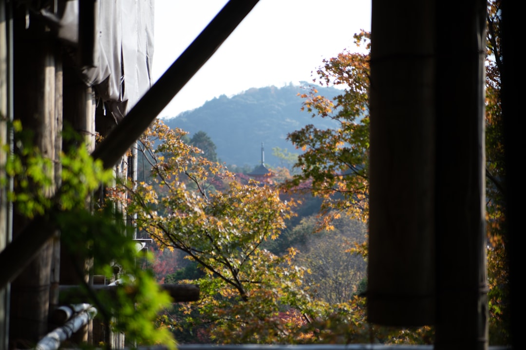 山村 紅葉