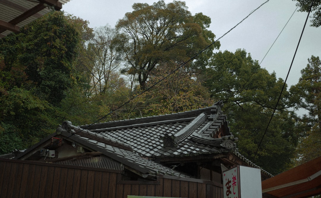 全般台風情報、台風第20号