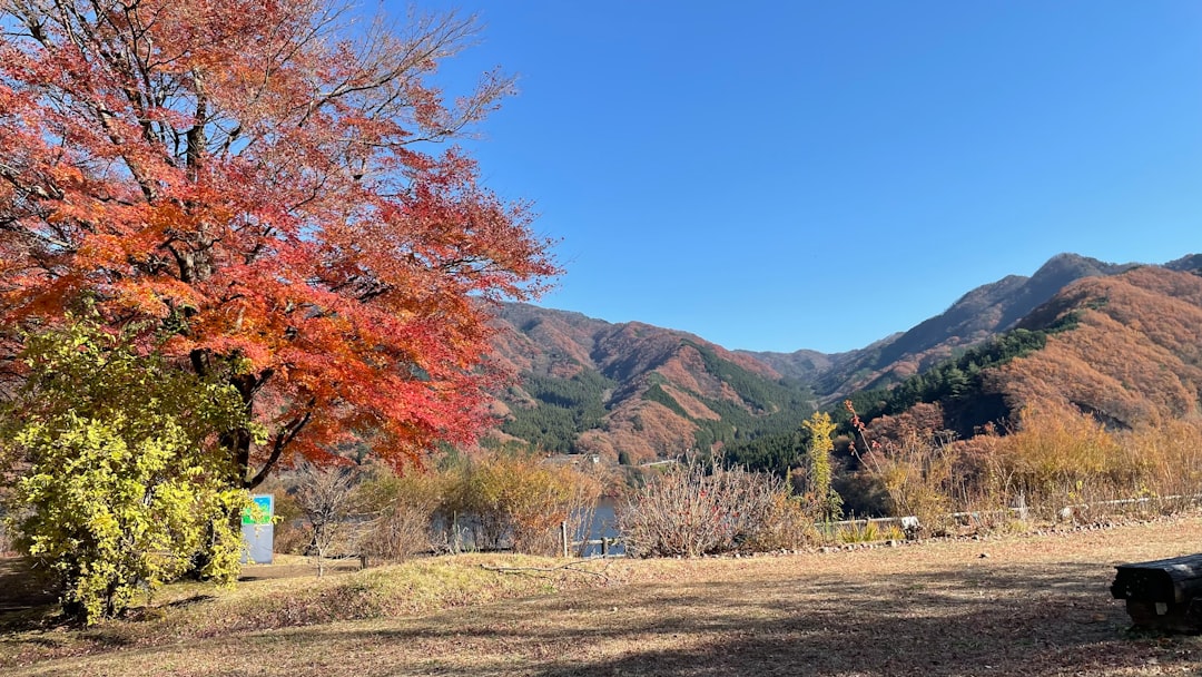 山村 紅葉