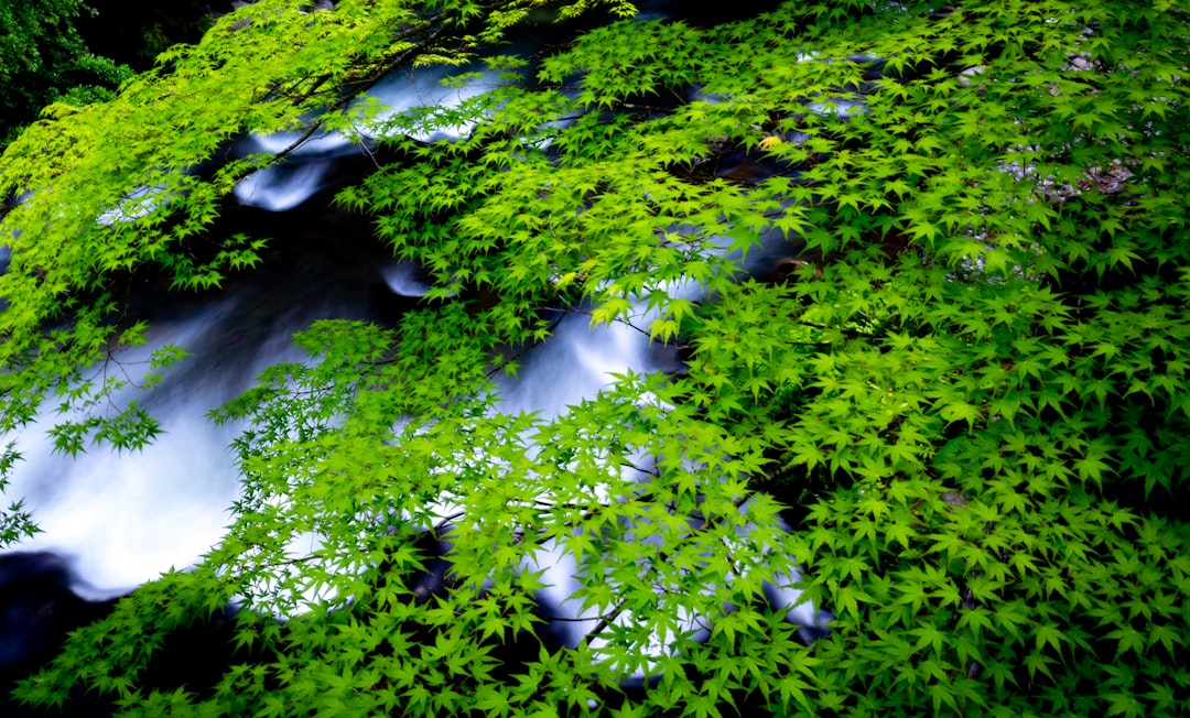 石川県