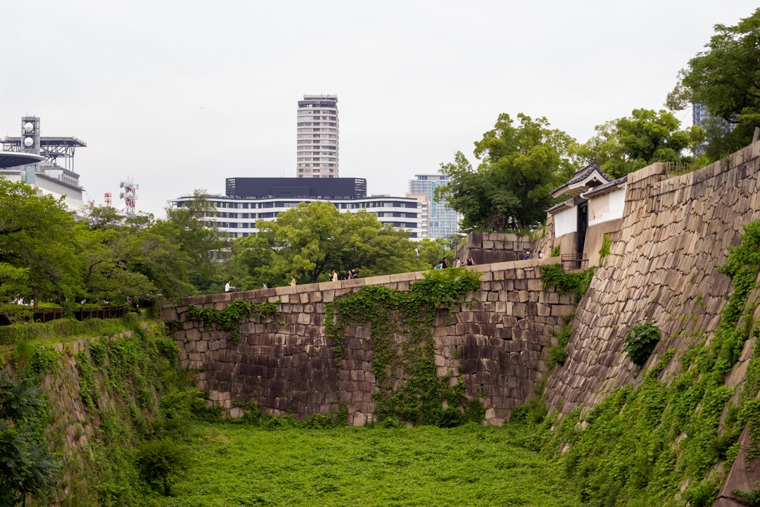 甲子園