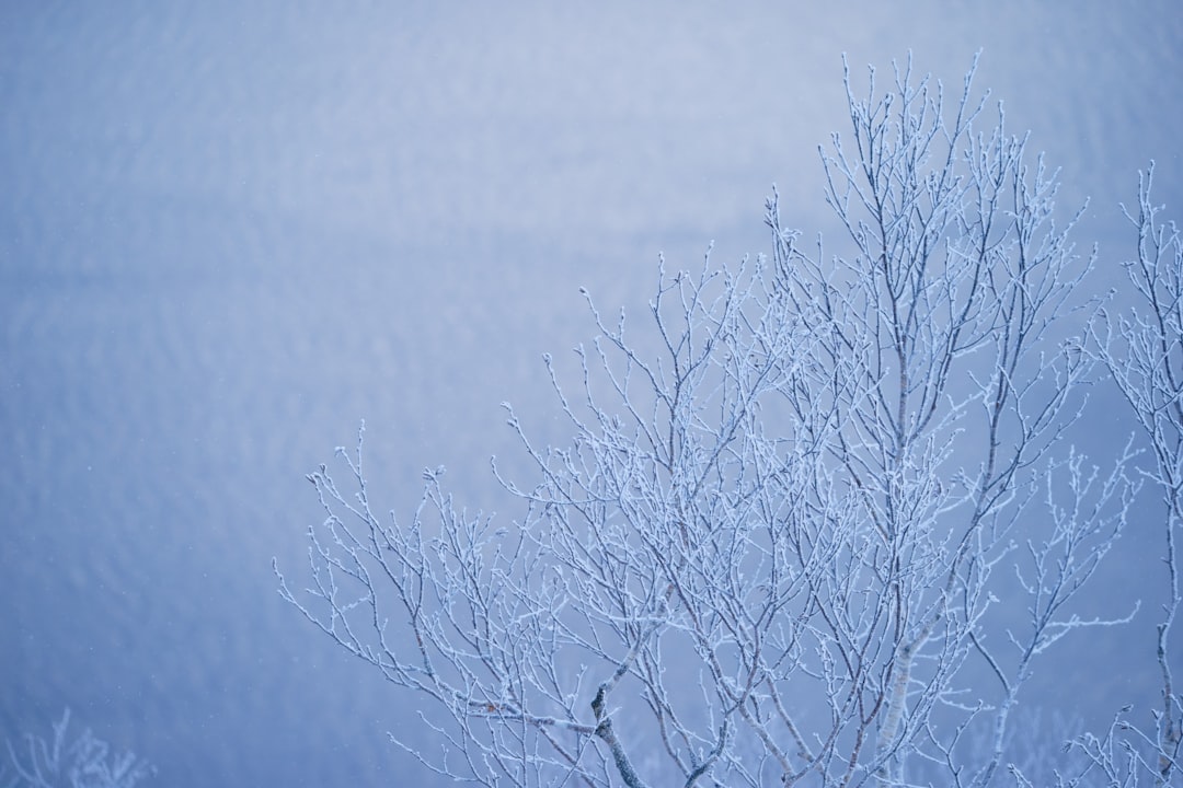 天気