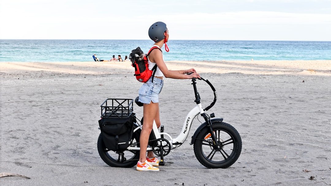 電動自転車 購入前 確認すること おすすめ