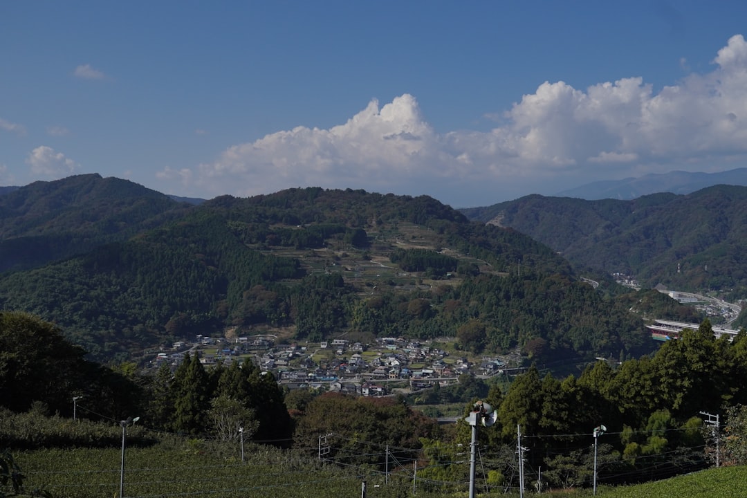 東日本国際大昌平