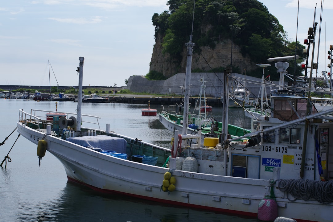 山下ひかり