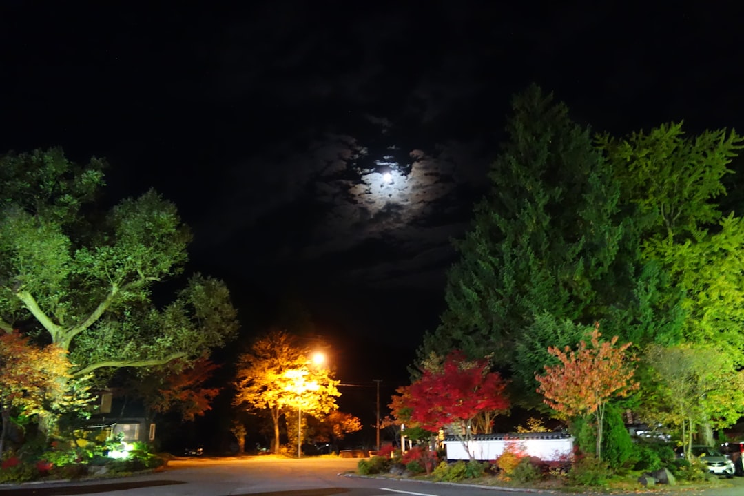 夜マック