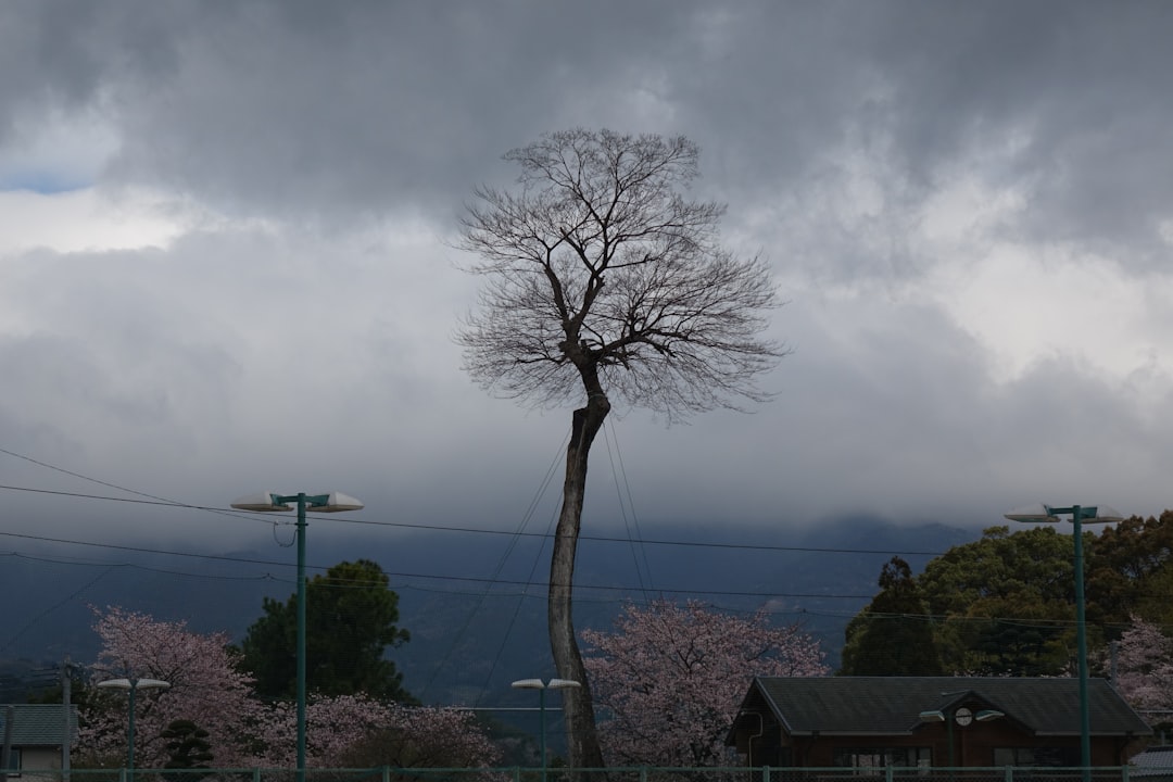 台風気象情報、台風第13号
