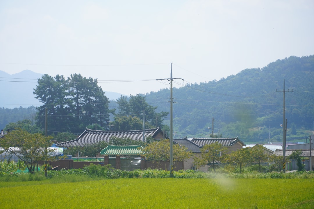 高見素直