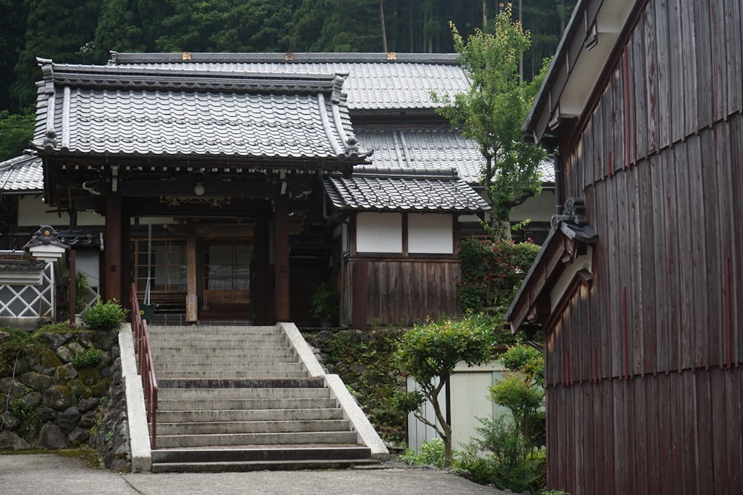 井上清華