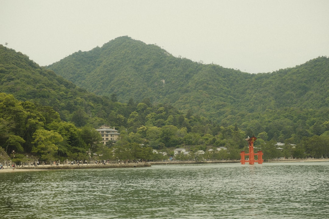 広島 対 巨人