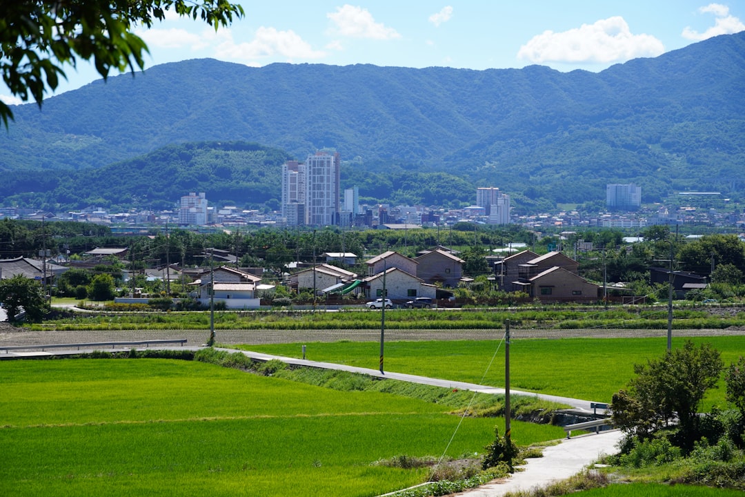 重岡大毅