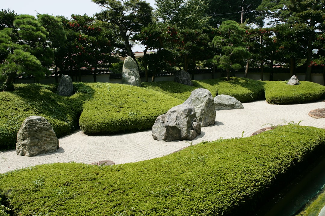 石神のぞみ